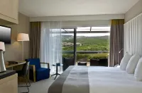 Radisson Blu Resort & Spa, Ajaccio Bay - WLAN
