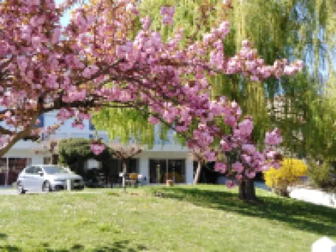 Hotel Astoria Hotels near Castle de Rochetaillee