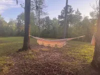 Cozy cabin on Lake Seminole, the bass capitalOf the world!