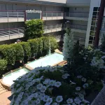 Cupertino Hotel - Pools