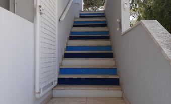 Le Barchette 7 - Primo Piano