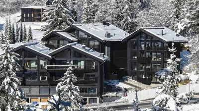 Black Summit Boutique Resort Laax Hotels in Rueun