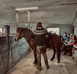 Sleeping with the Horses