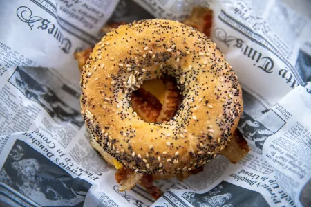 Sugarloaf Key Hotel at Koa Resort