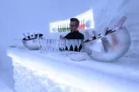 Hotel Lac Salin Spa & Mountain Resort - bar