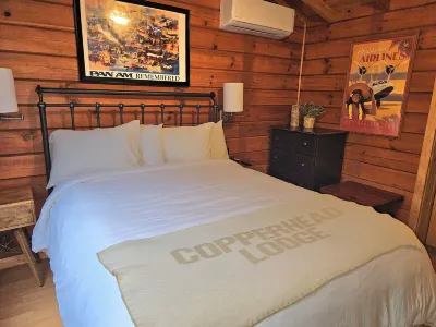The Copperhead Lodge فنادق في Fannin County