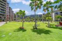 Daily Activities and Modern Comforts - Stunning Ocean View Studio Hotels in Lahaina