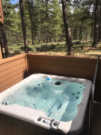 Private Hot Tub and Sharc Passes Included - Gorgeous Rustic Escape