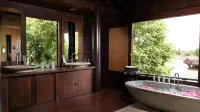 Mane History Lovers - Hot Springs