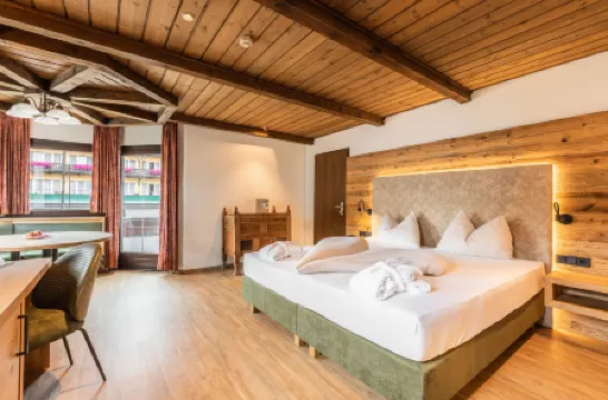 阿爾卑斯之愛 - 成人 SPA 酒店