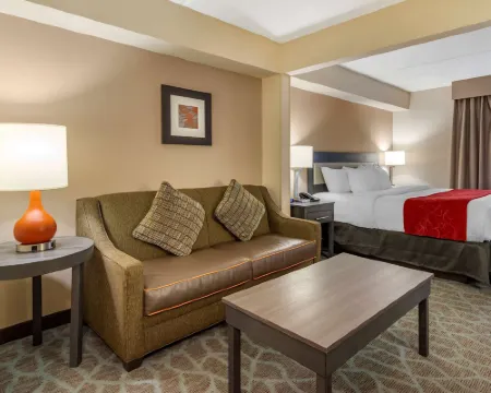 Comfort Suites Alpharetta/Roswell - Atlanta Area Hotels in Alpharetta