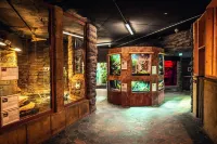 Appartements im Freizeitpark Weissenhauser Strand