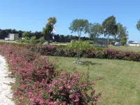 Glenavys Waitaki River Motor Camp Hotel di Glenavy