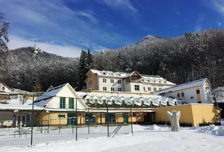 Horský Hotel Remata Отели в г. Бойнице