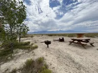 보더 인 카지노