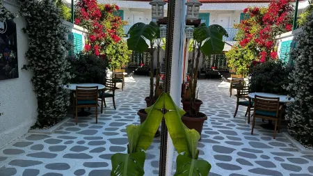 Lotus City Siğacık Boutique Otel Отели в г. Sigacik Mahallesi