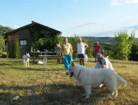 Ferienhaus Waldhof Hoteles en 