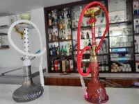 阿普里克斯河畔飯店