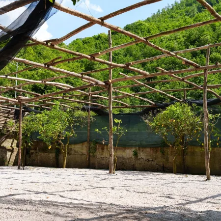 Cvm Montagnella Relax