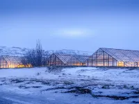 The Greenhouse Hotel Hotels in Hveragerði