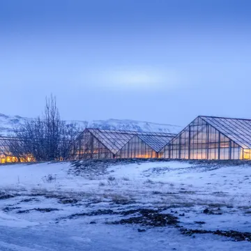 The Greenhouse Hotel