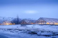 The Greenhouse Hotel Hotel a 