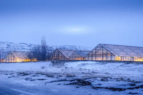 The Greenhouse Hotel Hotels in Olfus