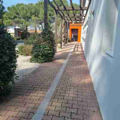 ACE Hôtel Travel Fabrègues - A9 Montpellier Sud Hotel Exterior