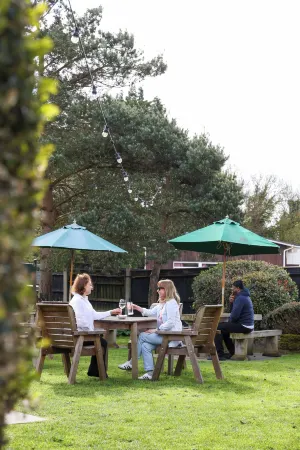 The Windmill Отели в г. Холлингборн