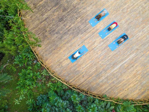 ECOTICA Boutique Hotel - spa