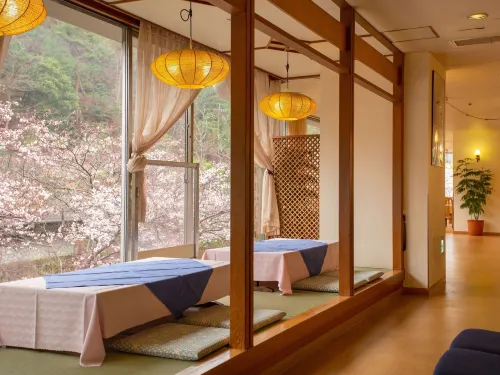 Shin Kabakawa Kanko Hotel - con terme