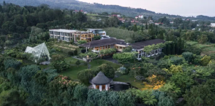 アマリリス ブティック リゾート のホテル