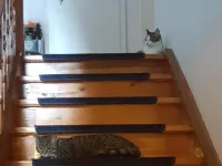 格拉斯曼鄉村民宿 皮丁住宿飯店