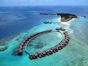 Coco Bodu Hithi - 50% Off shared roundtrip Speedboat for stays from 1 Sep to 23 Dec 2025