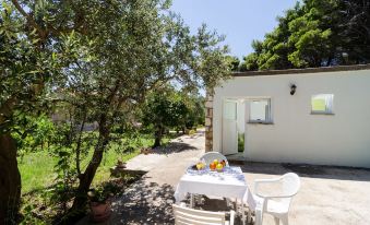 Apartments & Rooms Tapera