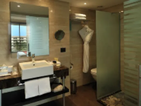 Pullman Kinshasa Grand Hotel Hotels in Kinshasa