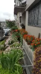 KPW 앳 로열 릴리 아파트먼트 Discover Camerons 주변 호텔