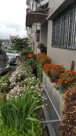 KPW at Royal Lily Apartment Отели рядом с достопримечательностью «Cameron Highlands Trail No. 3»