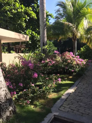 Palm Residence Hotels in Fermate
