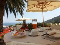 Hotel Gallo Nero - spa