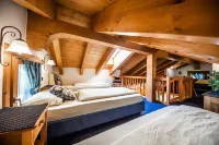 Chalet Mottolino - Airport Shuttle