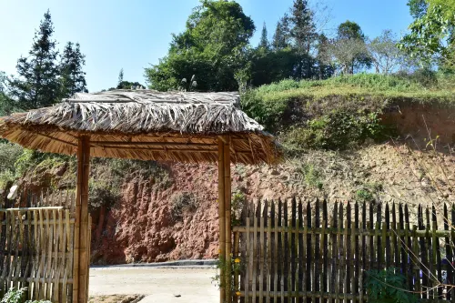 Thong Nguyen Homestay - Hostel Hotels in Ha Giang