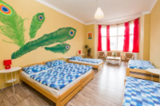 โฮสเทลดาวน์ทาวน์