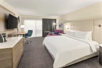 Crowne Plaza ORLANDO - LAKE BUENA VISTA by IHG - balkon