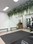 Golden Planet Hotel-Pyeongtaek Godeck - Gym