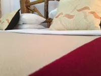 Mihini Hotel - Pet friendly