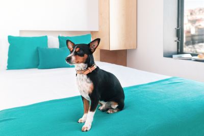 その他 オー ポルト アパートメンツの写真