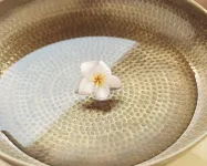 Bliss Dhigurah - spa