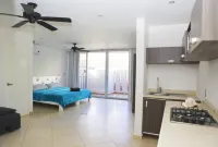 Iris Studios & Apartments - Homestays