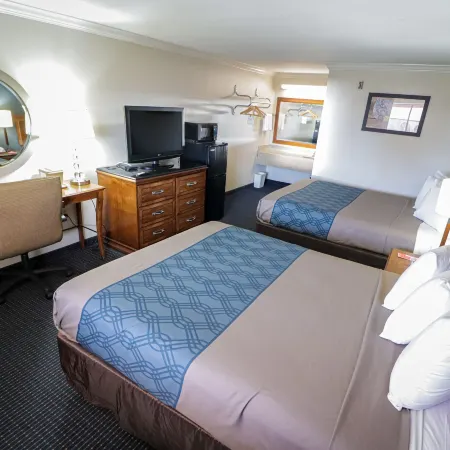 University Inn & Suites